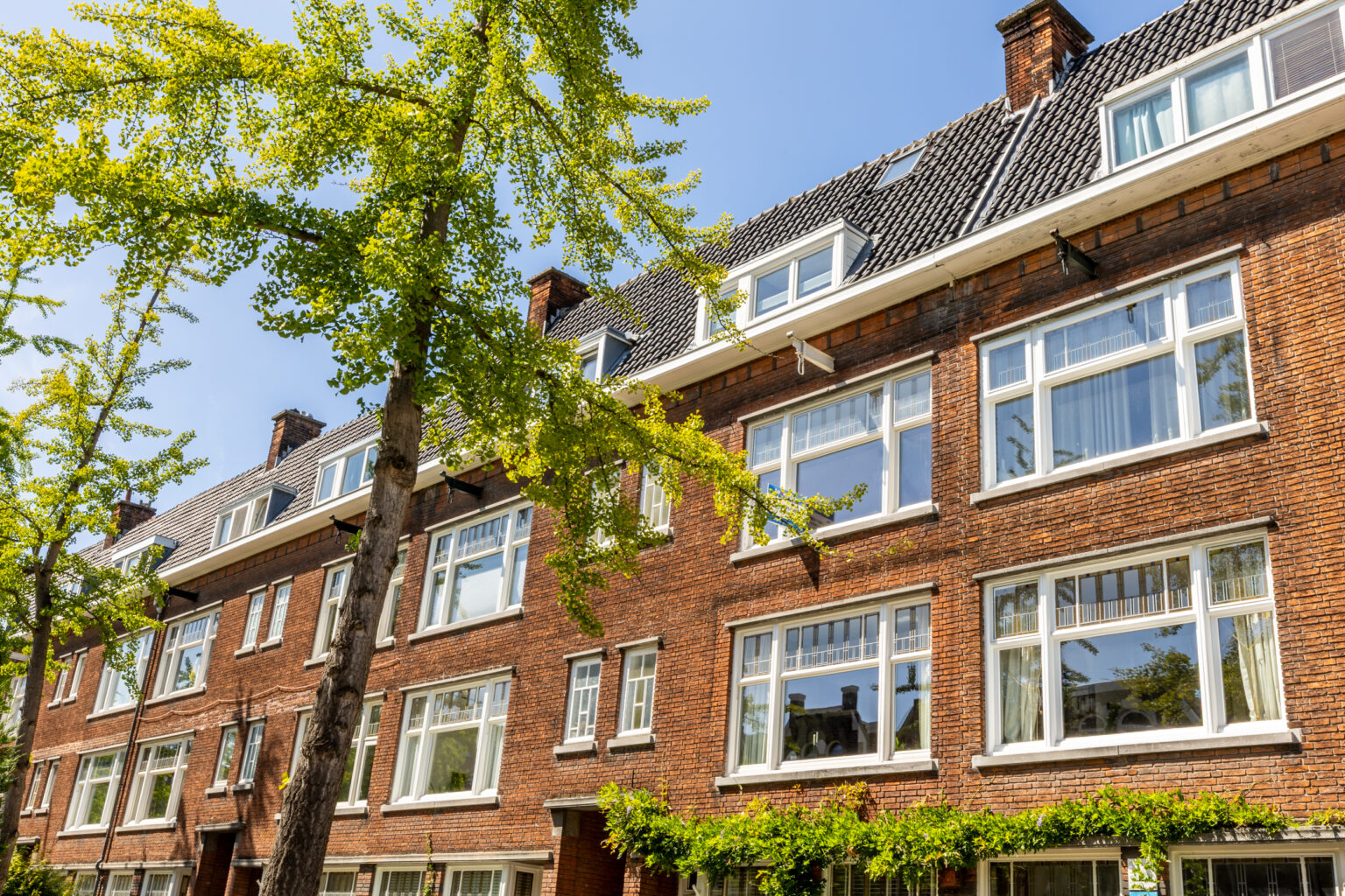 Straatbeeld