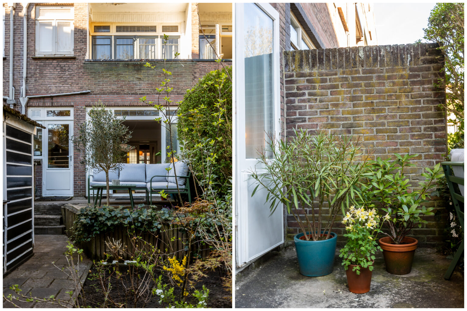 Achtertuin