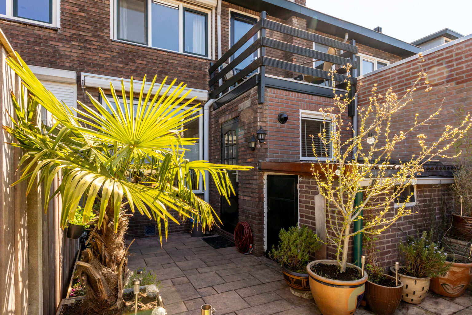 Achtertuin