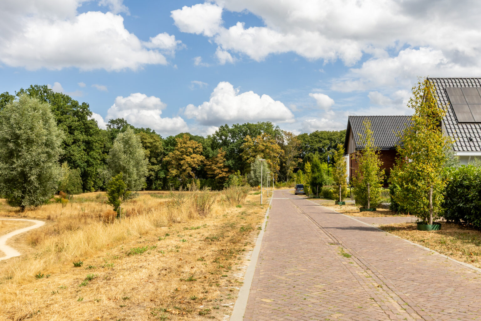 Straatbeeld